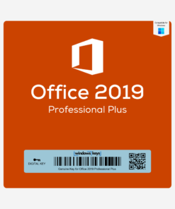 Office 2019 Professional Plus License