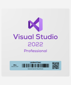 Visual Studio 2022 Professional License