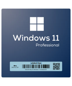 Windows 11 Pro - WindowsKeys