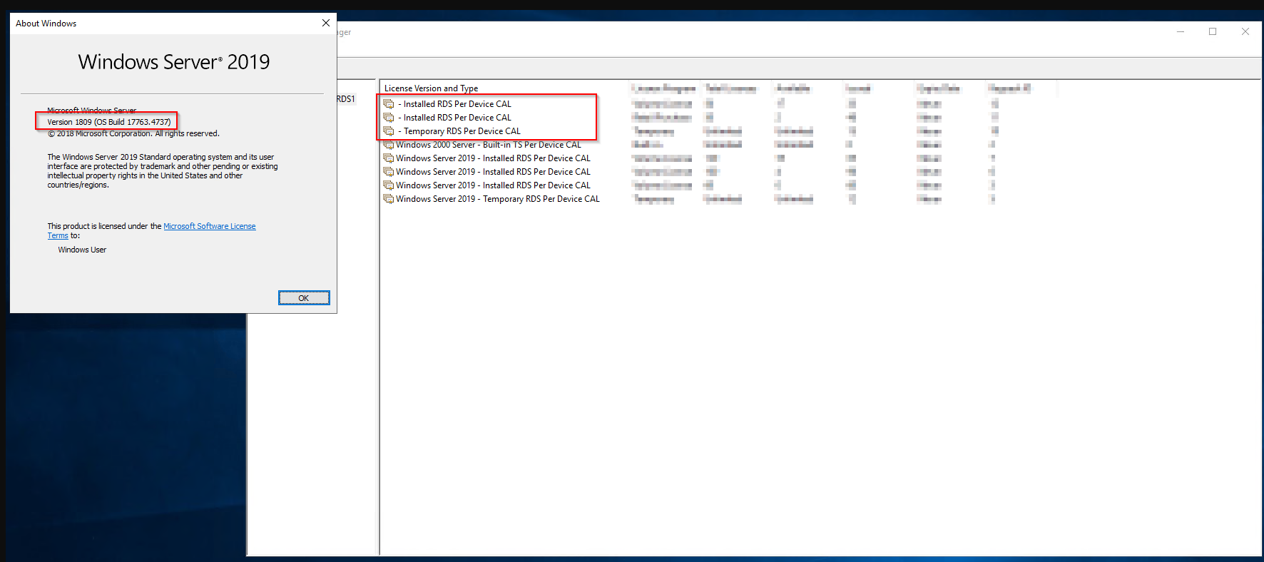 Windows Server 2019 – About Info